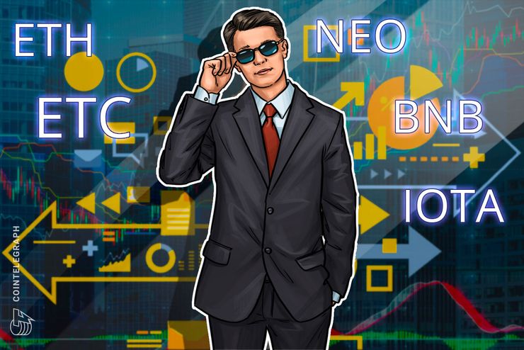 Top Crypto Performers Overview: Ethereum, Ethereum Classic, NEO, IOTA, Binance Coin, Stratis