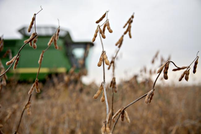 China’s Soybean Move Lands With a Thud for U.S. Farmers