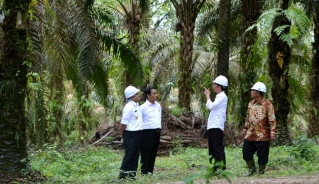 Indonesia Masuk 5 Besar Negara Eksportir Pertanian Terbaik di Dunia, Sawit Jadi Penopang Utama!