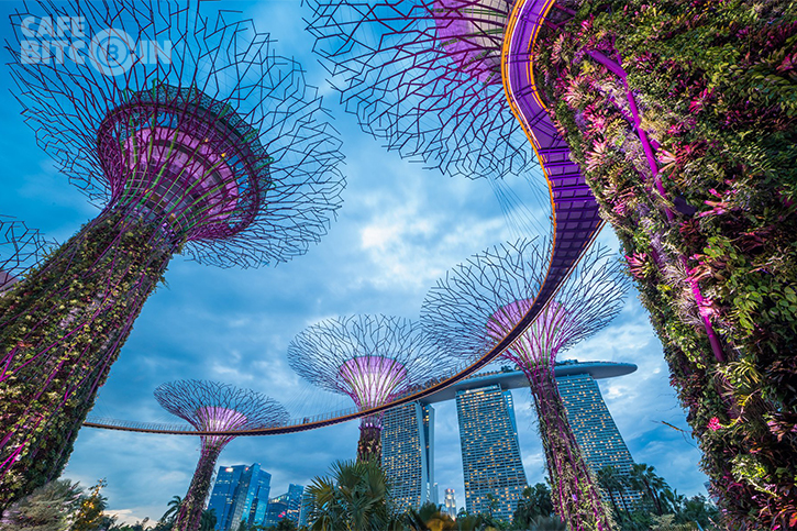 Singapore có thể là quốc gia đầu tiên hoàn toàn đón nhận tiền điện tử!