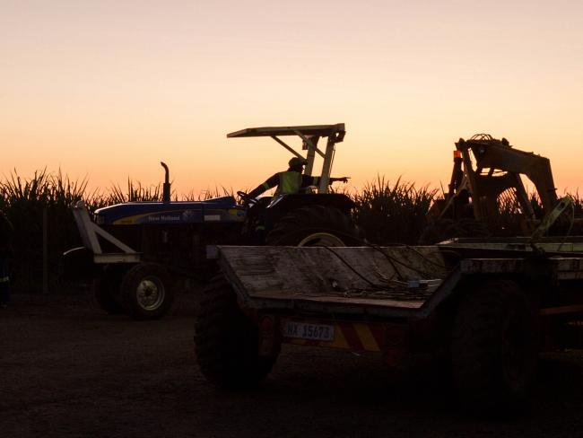 © Bloomberg. south africa farm 