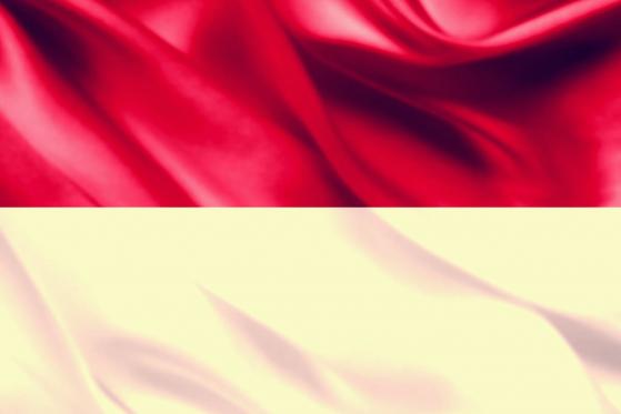  Indonesia Blockchain Hub Launches with Support from Government Agencies 