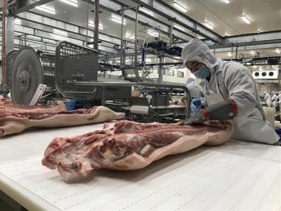 Đầu tư mạnh vào nông nghiệp: Các 'đại gia' toan tính gì?