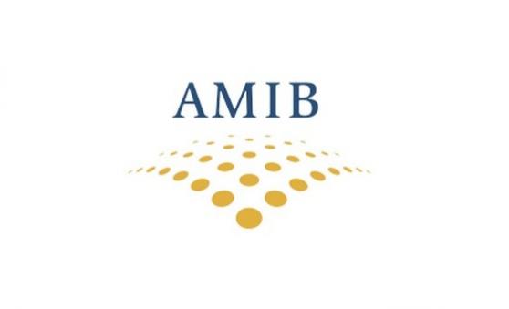 AMIB propone grandes proveedores gobierno coticen en bolsa (R)