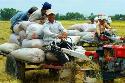 Mù mờ thông tin dễ mất thị trường