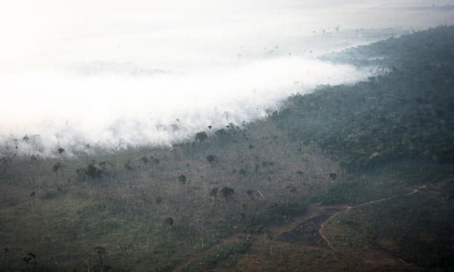 How California Can Help Save Brazil’s Burning Rainforests