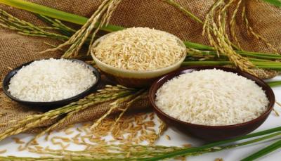 20 doanh nghiệp nhập khẩu gạo Trung Quốc sang Việt Nam tìm cơ hội