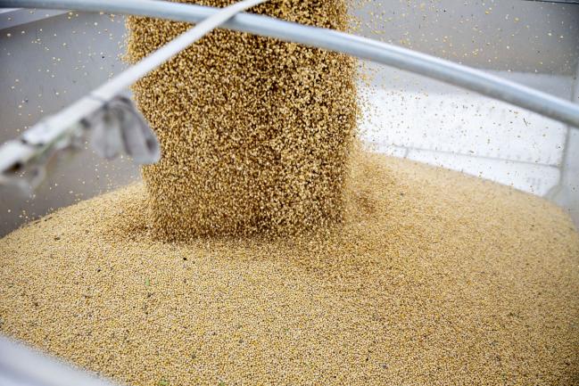 © Bloomberg. Soybeans are loaded into a grain cart during harvest in Wyanet, Illinois, U.S., on Tuesday, Sept. 18, 2018. With the trade war having a knock-on effect on agricultural commodity flows globally, the European Union has more than doubled its purchases of American beans in the season that began in July. Photographer: Daniel Acker/Bloomberg