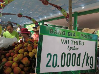 Trung Quốc trúng mùa, trái vải Việt Nam rớt giá sớm