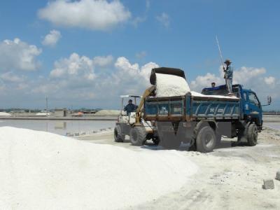 Lượng muối tồn giảm do thời tiết phức tạp làm sản lượng giảm