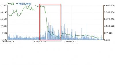 Dùng 30 tài khoản thao túng cổ phiếu NHP, ông Nguyễn Trọng Đức bị phạt 550 triệu đồng