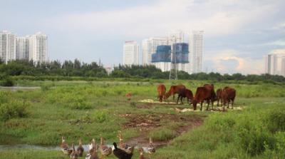 Quốc Cường Gia Lai: 32.4 ha đất Phước Kiển không phải là đất công, tổng giá trị chuyển nhượng là 632 tỷ