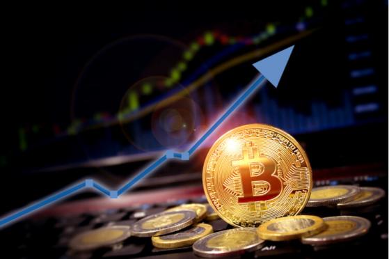  Pantera Capital Founder’s Advice: “Buy Bitcoin Now!” 