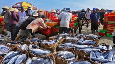 Việt Nam đang khai thác quá mức nguồn lợi thủy hải sản