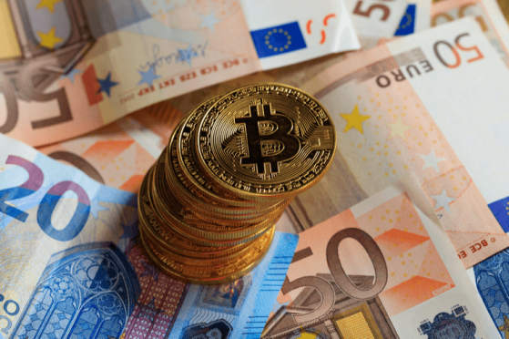  Can Cryptocurrencies Succeed Where the Euro Failed? 