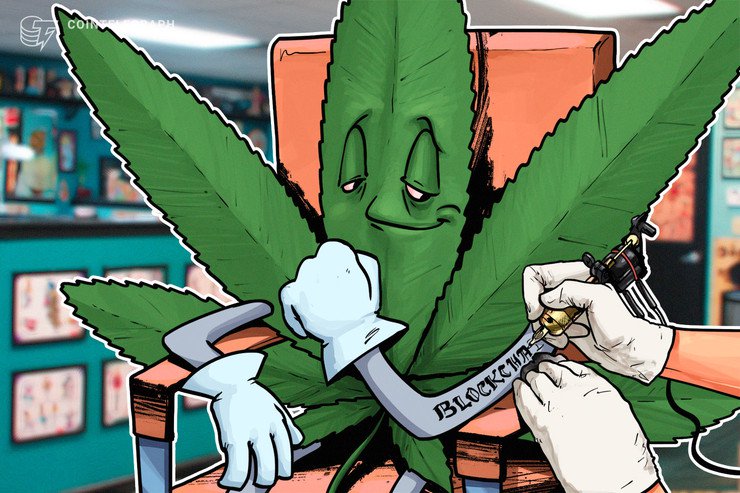 Investidor blockchain Grandshores Tech se volta para a indústria de cannabis após debandada no mercado cripto