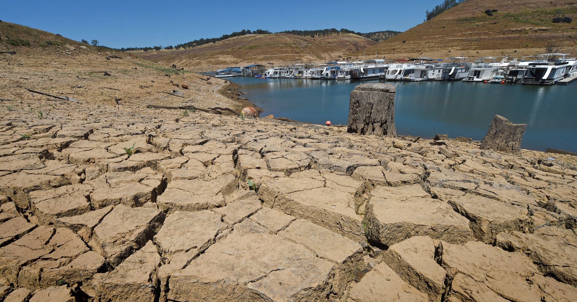 IBM, 캘리포니아주 내 가뭄 예방을 위한 블록체인 파트너십 형성