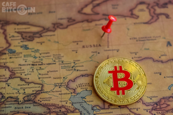 Thuyết âm mưu: Đã tìm ra Cá Voi đẩy giá Bitcoin tăng vọt?