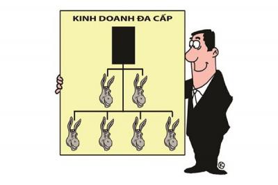 Kinh doanh đa cấp: Ranh giới mong manh giữa hợp pháp và lừa đảo