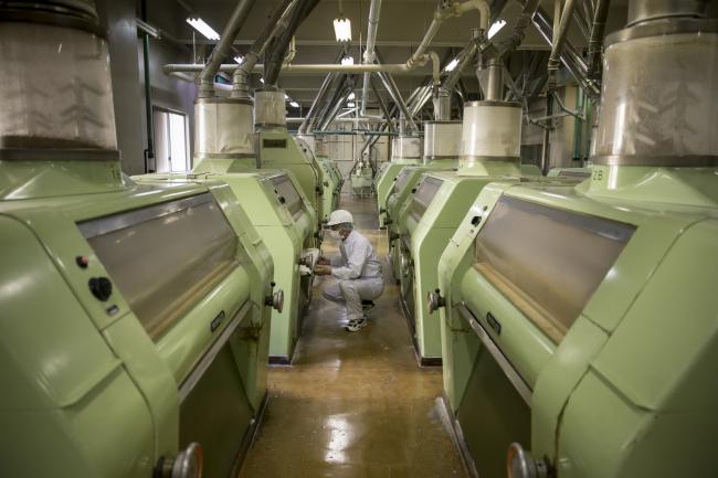 © Bloomberg. A Tofuku Flour Mills Co. employee operates a milling machinery at the company's facility in Dazaifu, Fukuoka, Japan, on Dec. 21, 2017. Fukuoka, on Japan’s southern island of Kyushu, is expanding production of a locally-developed variety of grain known as Ra-Mugi that’s designed to be perfect for tonkotsu ramen: a dish of cloudy white pork broth, with noodles and slices of pork that originates in the region. Photographer: Tomohiro Ohsumi/Bloomberg