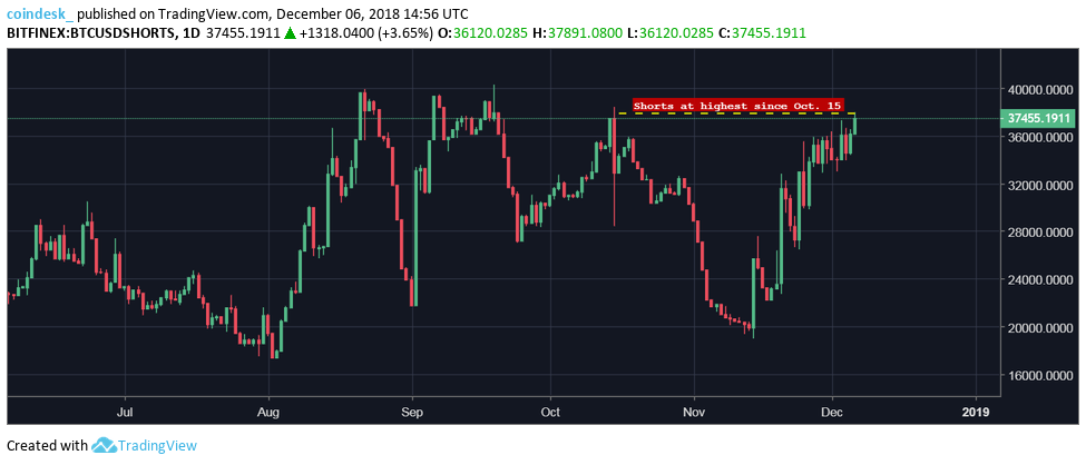 Bets On Bitcoin Price Decline Hit 6-Week High