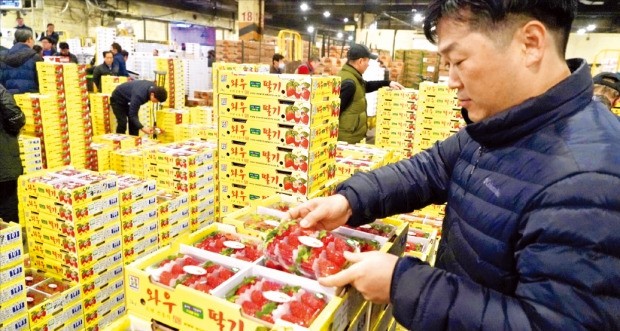 "신선식품 배송 밀리면 끝장"…이마트, 15년만에 새벽경매로 조달