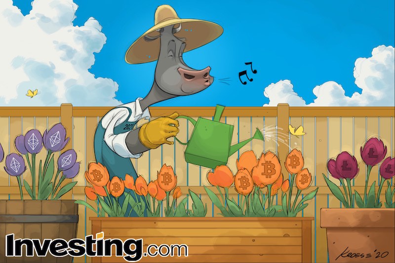 © Investing.com