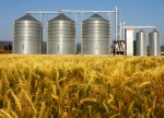 Negócios na América do Sul e Europa mantêm Bunge em vantagem, diz CEO