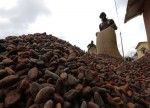 SOFTS-Cocoa slips as speculative buying stalls, sugar rises further