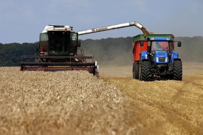 © Reuters. РФ в июле увеличила сельхозпроизводство на 0,9%