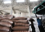 Açúcar branco sobe na ICE; café robusta recua