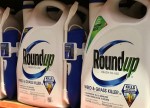 Stockbeat: The Elliott Fox Is in the Bayer Henhouse
