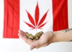 UPDATE 4-Sober start as recreational marijuana becomes legal in Canada