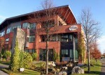 Pfizer's Bavencio shows positive effect in bladder cancer study