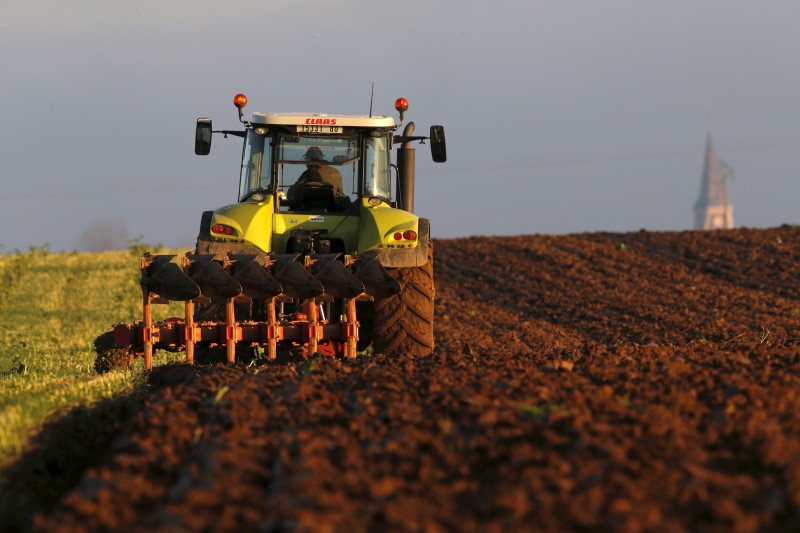 © Reuters. U.S.-China Spat Risks Permanently Altering Trade, Cargill Warns