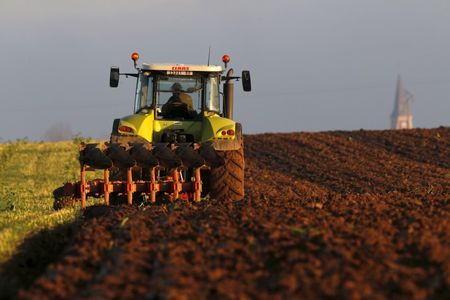 РФ с 1 июля снизила экспорт зерна до 0,6 млн тонн