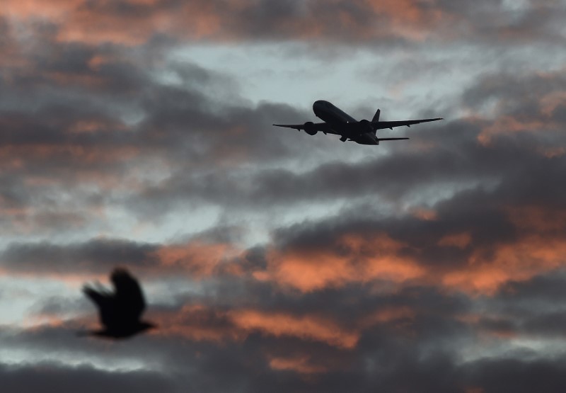 © Reuters. All Nippon Airways says flight bookings to and from China plunge due to virus outbreak