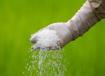 Indian state seizes spurious pesticides as poisoning kills at least 30