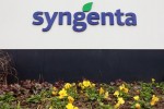 Monsanto veut céder toutes les activités semences de Syngenta
