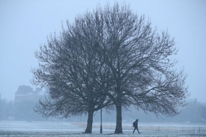 Bad weather cut GDP growth to +0.2 percent in first quarter - NIESR estimate