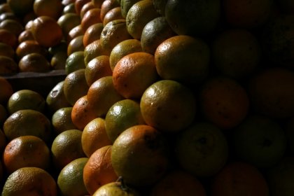 Exportação de suco de laranja do Brasil cresce 29% na safra 2017/18, diz CitrusBR