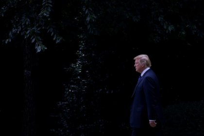 Trump says looking more and more like his campaign spied upon illegally