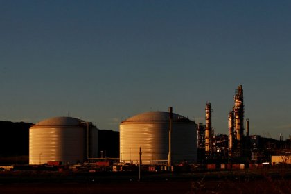Australia's Woodside sees reserve base tripling as new projects progress