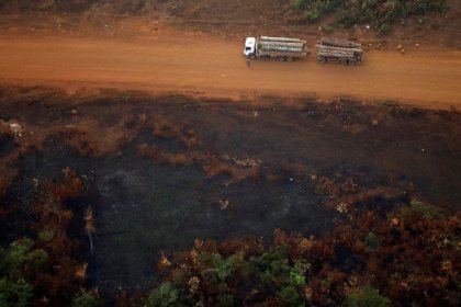 Brazil's weak currency, cheaper credit add to Amazon threats