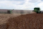 Colheita de soja 2019/20 do Brasil vai a 1,8% da área, puxada por MT, diz AgRural