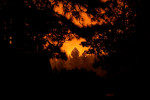 Raging wildfires destroy Washington town, roar through California, Oregon