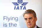 Reduced to meeting online, airlines vow to keep fighting