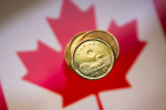 Canadian dollar rallies as investors re-embrace risk-on trade