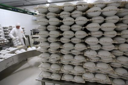 Com queda na produção, Brasil importa maior volume de cacau em 16 anos, diz FCStone