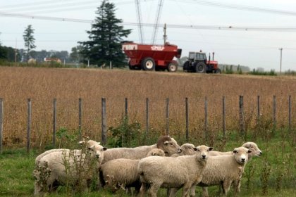 Ministério da Agricultura da Argentina suspende registros de exportações agrícolas